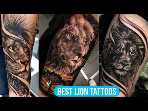 Top 50 Best Lion Tattoo