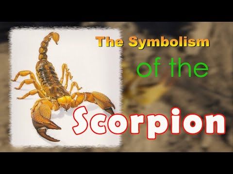 The Symbolism of the Scorpion