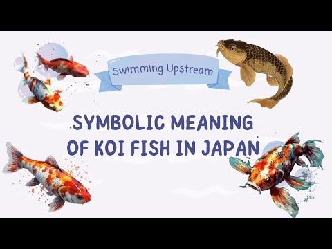 Swimming Upstream: Understanding the Symbolic Meaning of Koi Fish in Japan