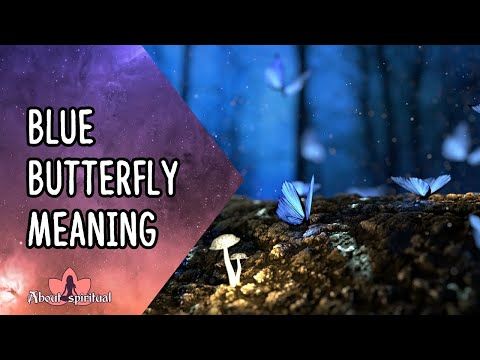 Blue Butterfly Meaning