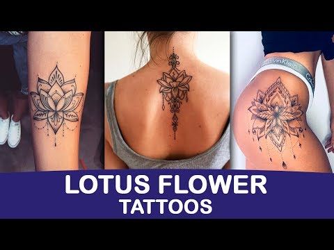 Lotus Flower Tattoos for Women Styles and Meaning