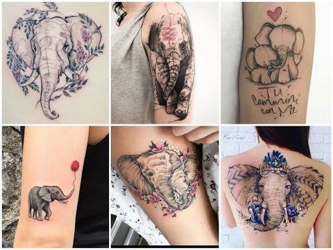 Top-50 Stunning Elephant Tattoo Designs and Ideas