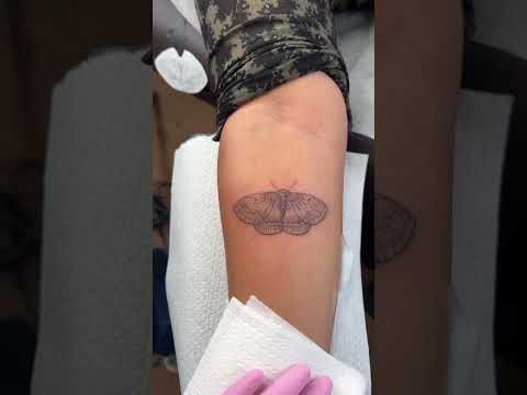 Fresh moth tattoo 🦋
