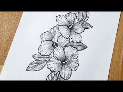 How to draw hibiscus flowers step by step || Hibiscus flower tattoo