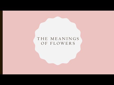 The Meanings of Flowers